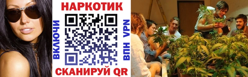 Наркошоп купить Cocaine  Мефедрон  ГАШ  A PVP  Марихуана  Якутск