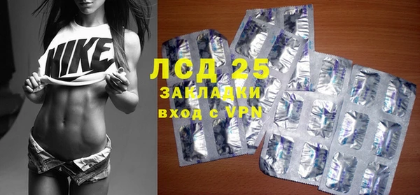 PSILOCYBIN Верея