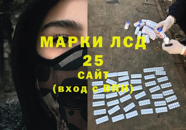 PSILOCYBIN Верея