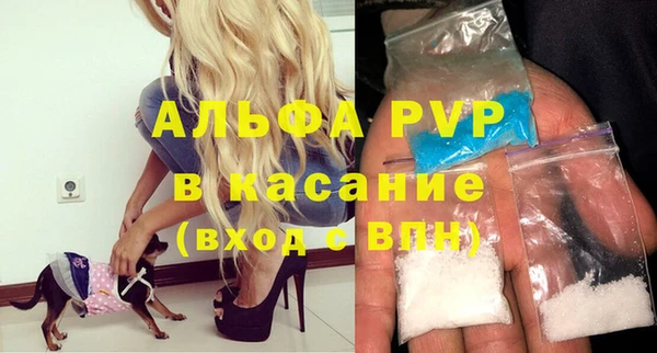 PSILOCYBIN Верея