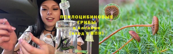 PSILOCYBIN Верея