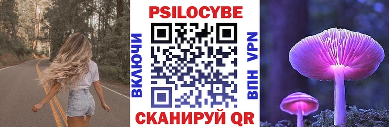 Псилоцибиновые грибы Psilocybe  Купить закладки  Якутск 